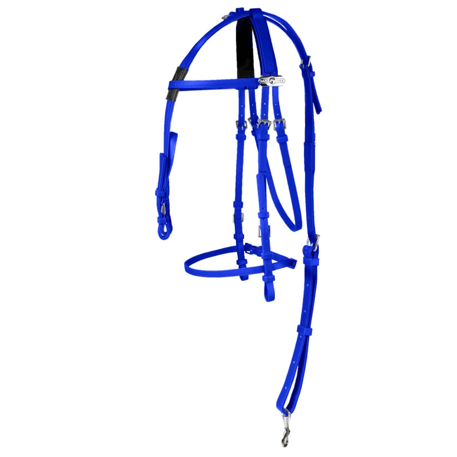 Miniatyrbild 1